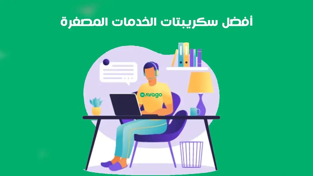 أفضل سكريبتات للخدمات المصغرة